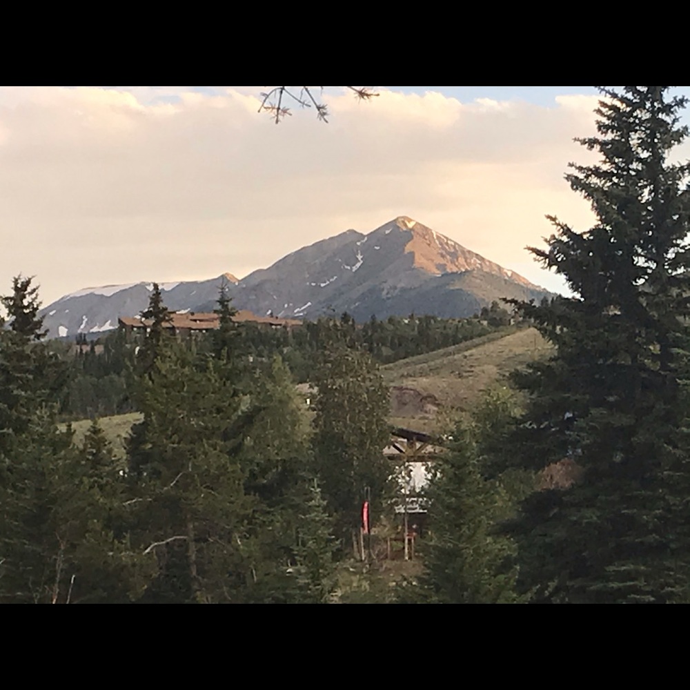 Meet your Posher, Casey